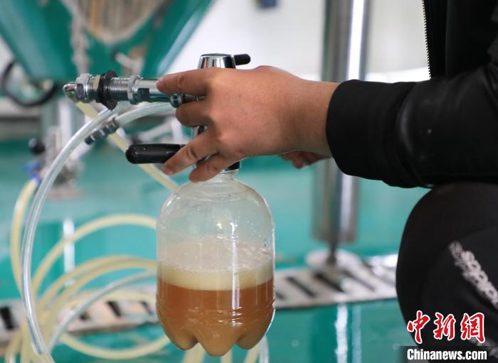 “油料作物之王”油莎豆种植前景如何?插图4 “油料作物之王”油莎豆种植前景如何?-okata欧卡塔