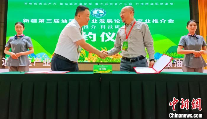 新疆何以建成全国单体种植面积最大油莎豆示范基地?插图1 新疆何以建成全国单体种植面积最大油莎豆示范基地?-okata欧卡塔