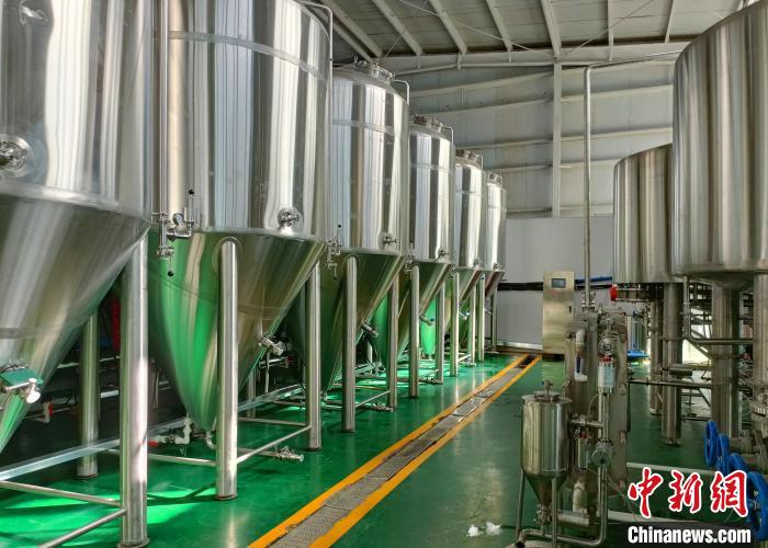 新疆何以建成全国单体种植面积最大油莎豆示范基地?插图2 新疆何以建成全国单体种植面积最大油莎豆示范基地?-okata欧卡塔