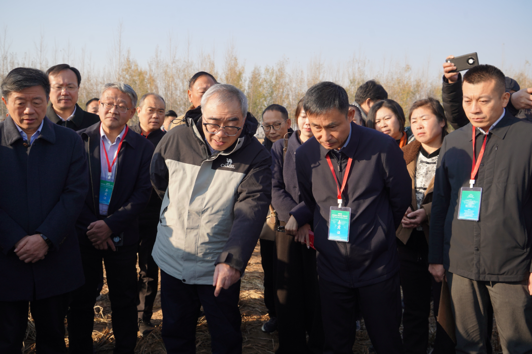 “全国第三届油莎豆科研成果转化暨产业发展会议”在民权县成功召开-okata欧卡塔